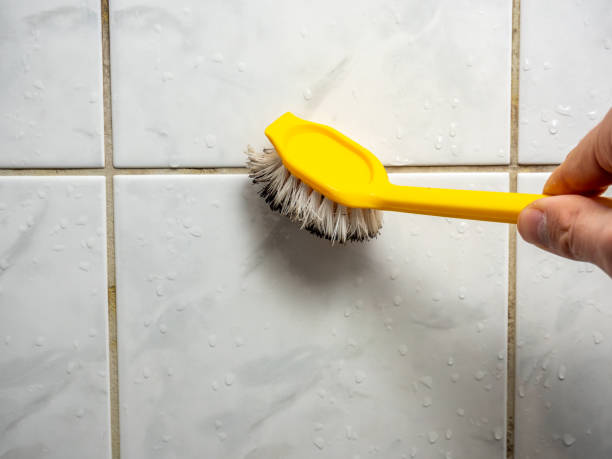 Best Residential Mold Removal  in Benton Harbor, MI