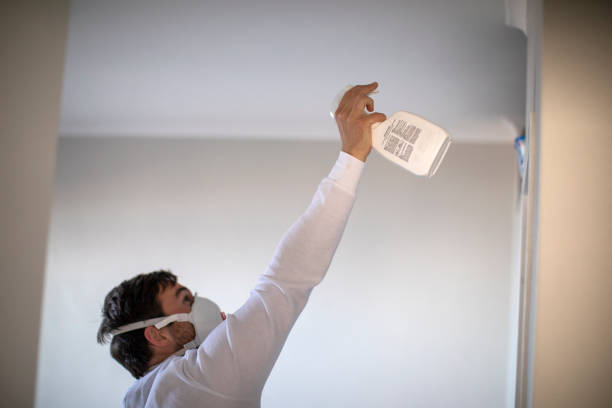 Best Certified Mold Removal  in Benton Harbor, MI