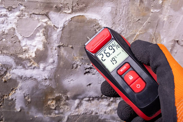 Reliable Benton Harbor, MI Mold Removal Solutions